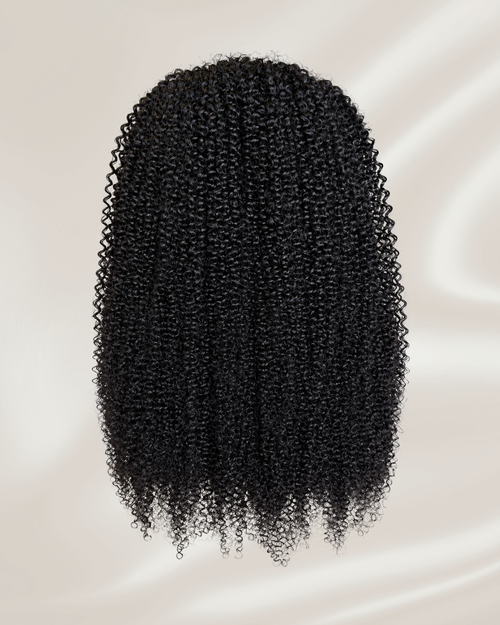 Ebony Half Wig
